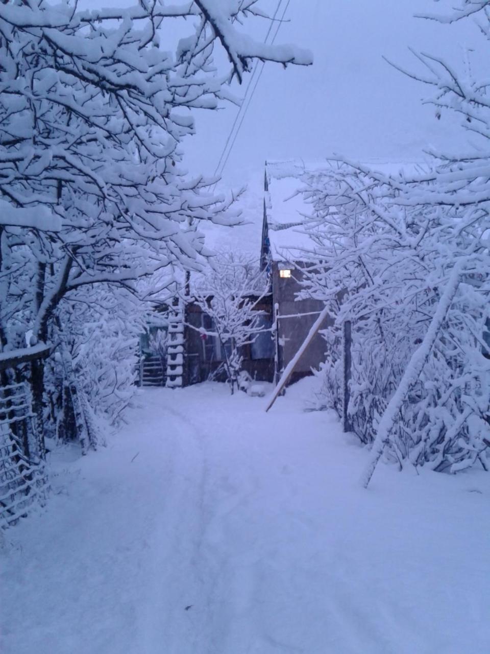 Nora'S Guesthouse Zhabeshi Kültér fotó